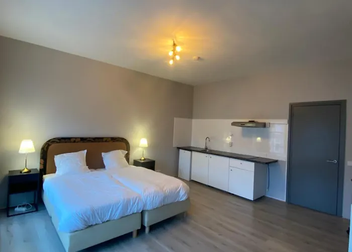 Huisdiervriendelijk hotel: Hotel Bridges House Delft